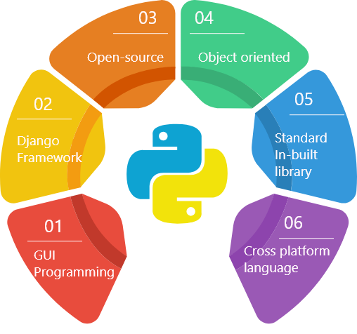 python course overview 5 why 2